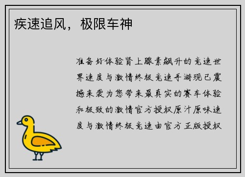 疾速追风，极限车神